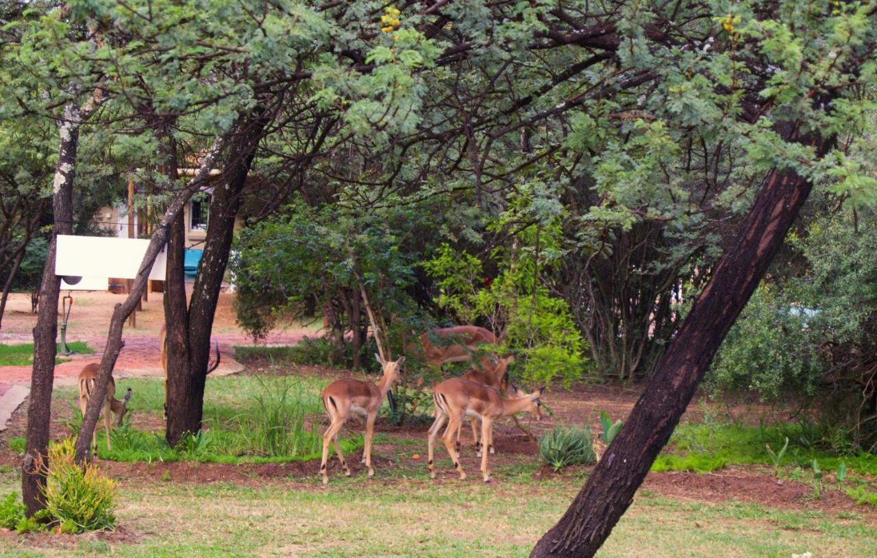 Suzie'S Loft - Nude - Suneden Family Naturist Resort Pretoria Bagian luar foto